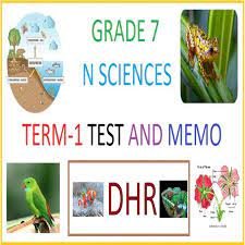 Grade 7 technology exam papers and memos pdf
